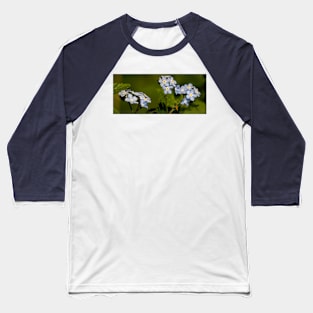 Forget-me-not Panorama Baseball T-Shirt